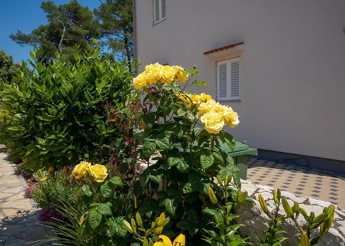 Pavic - Sapavac Apartment