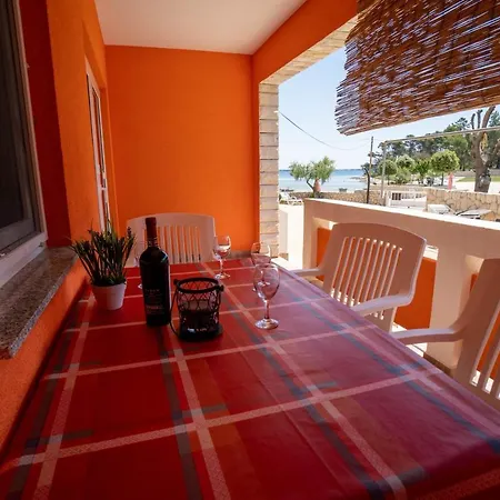 Pavić - Sapavac * Vir