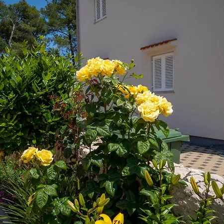 Pavic - Sapavac Apartment