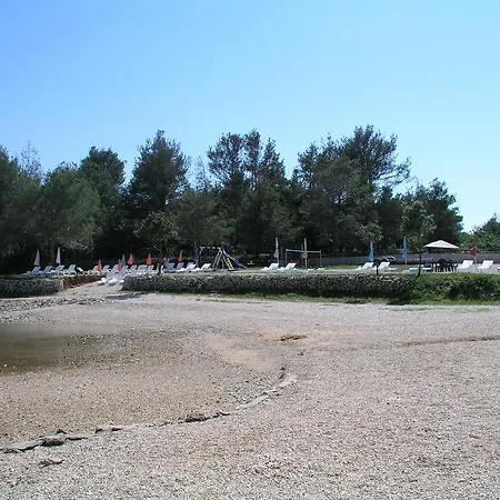 Pavic - Sapavac