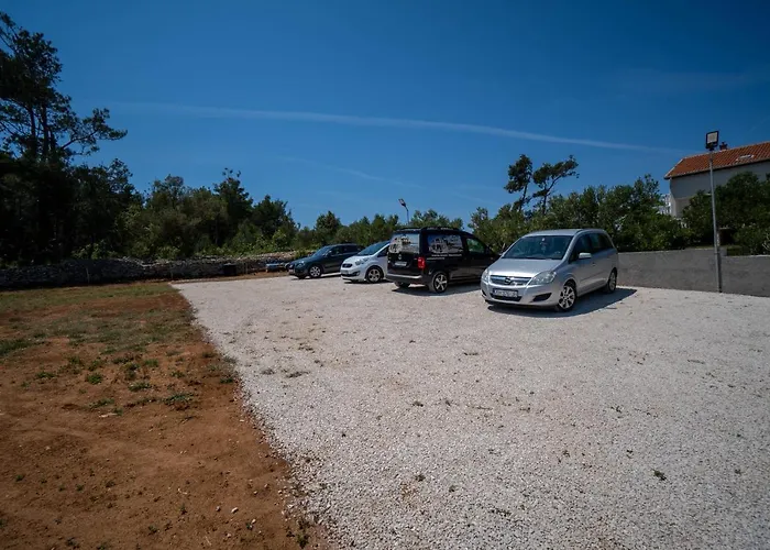 Pavic - Sapavac * Vir